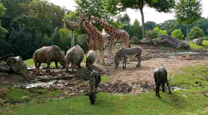 Zoo, zoologisk have og dyrepark i Danmark