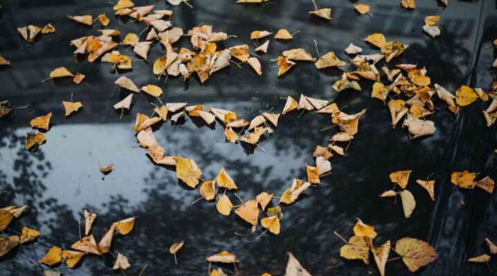Kærlighed i efteråret